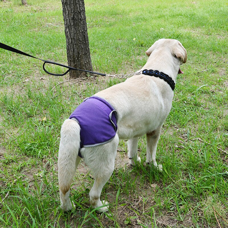 Washable Dog Physiological Pants Diaper Sanitary